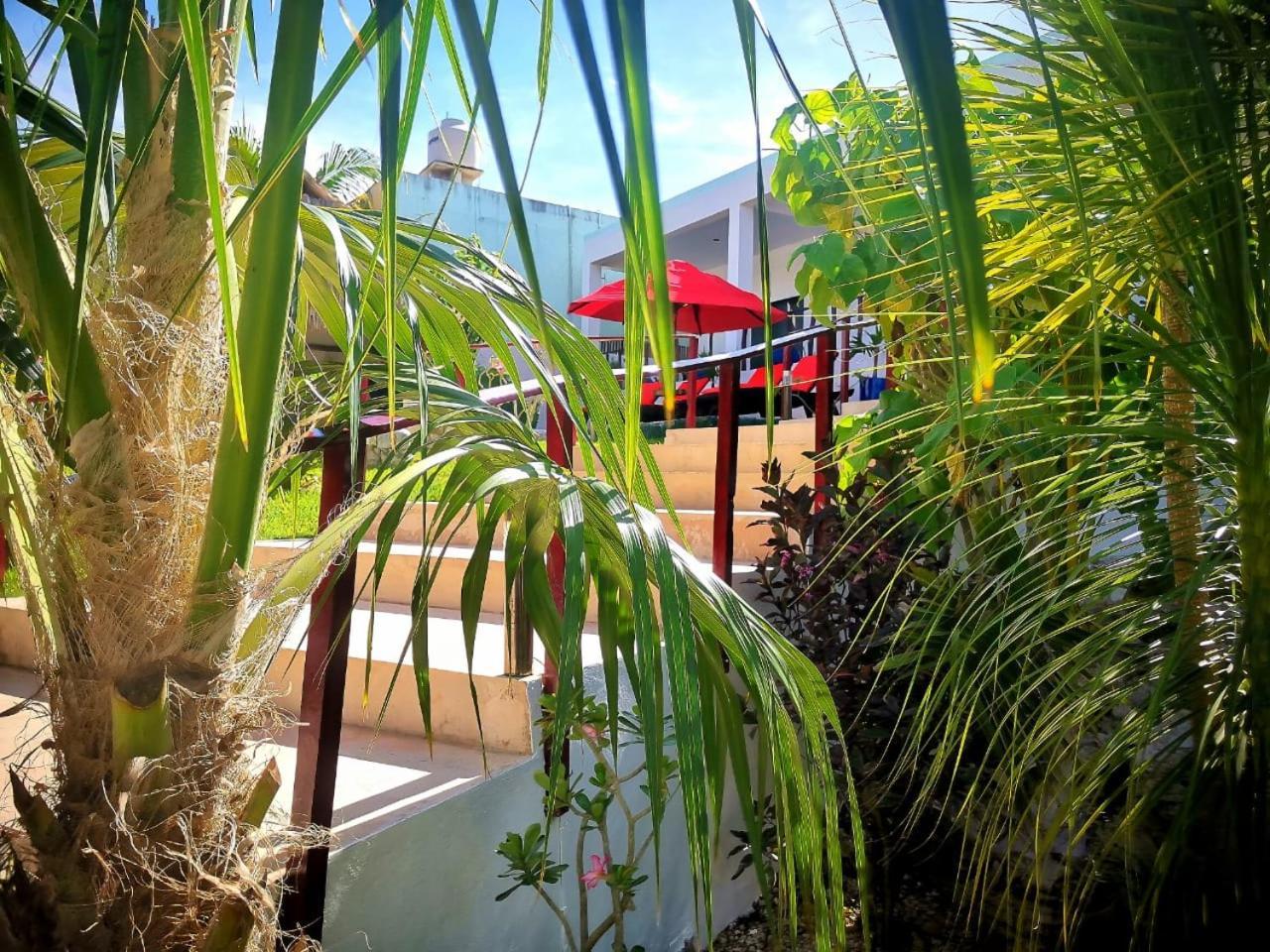 Mayan Majesty Boutique Hotel Valladolid  Extérieur photo