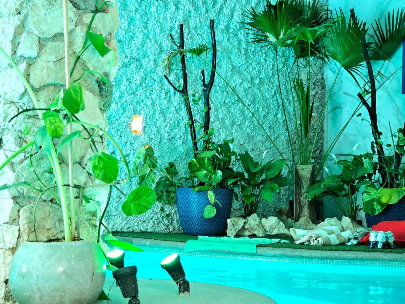 Mayan Majesty Boutique Hotel Valladolid  Extérieur photo